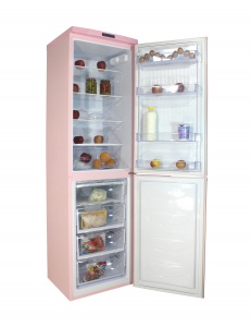 Холодильник DON R-297 R 1
