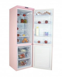 Холодильник DON R-291 R 1